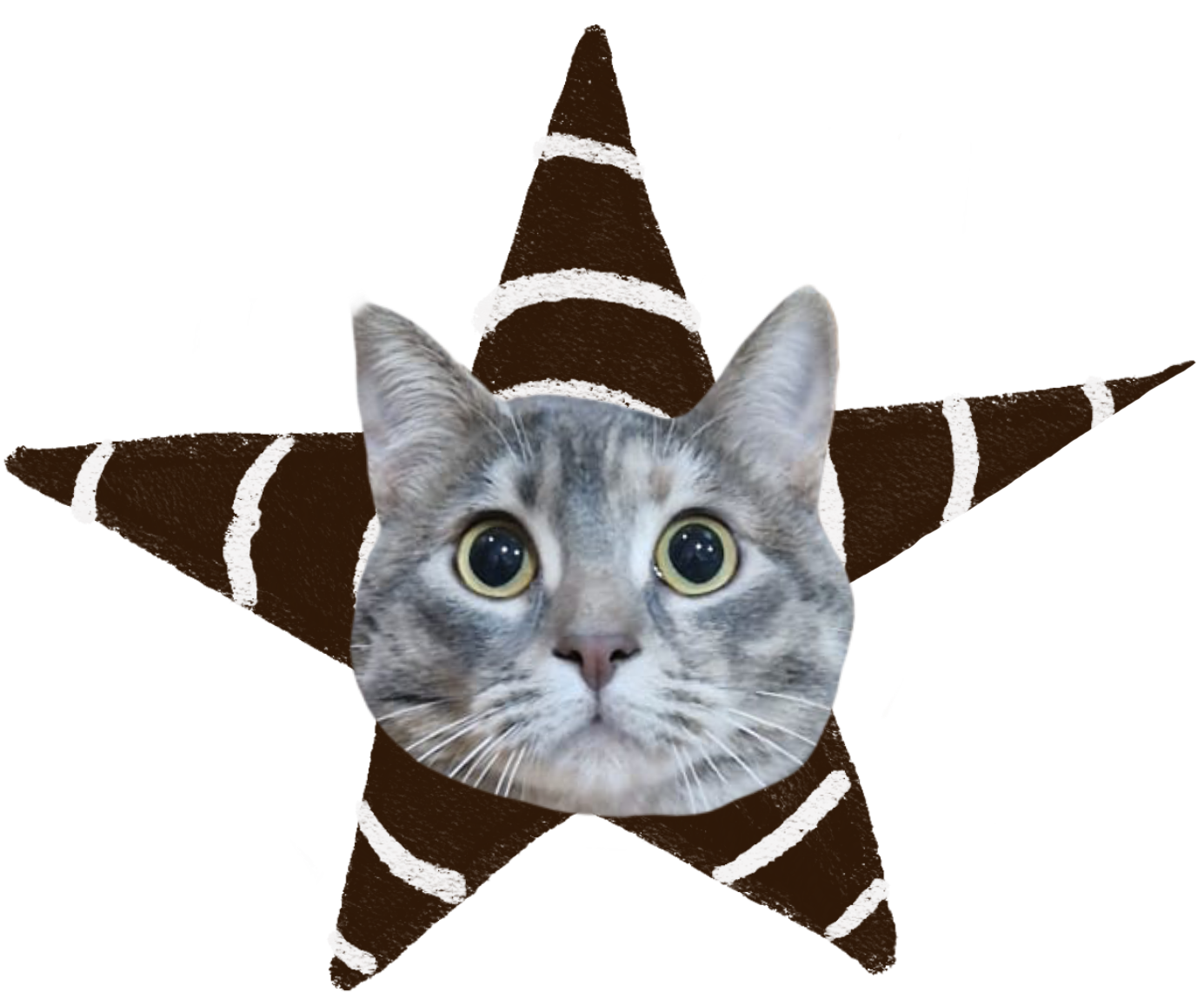 Bounce Infinite Animation